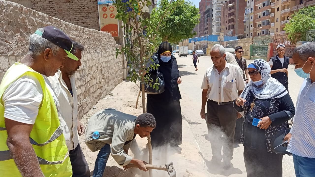 أعمال التشجير 