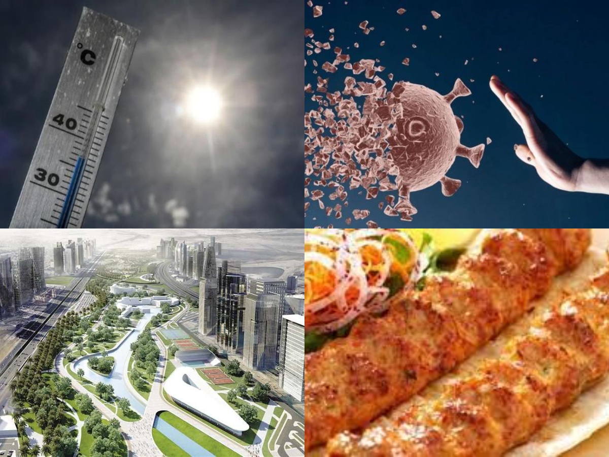 اخبار التوك شو
