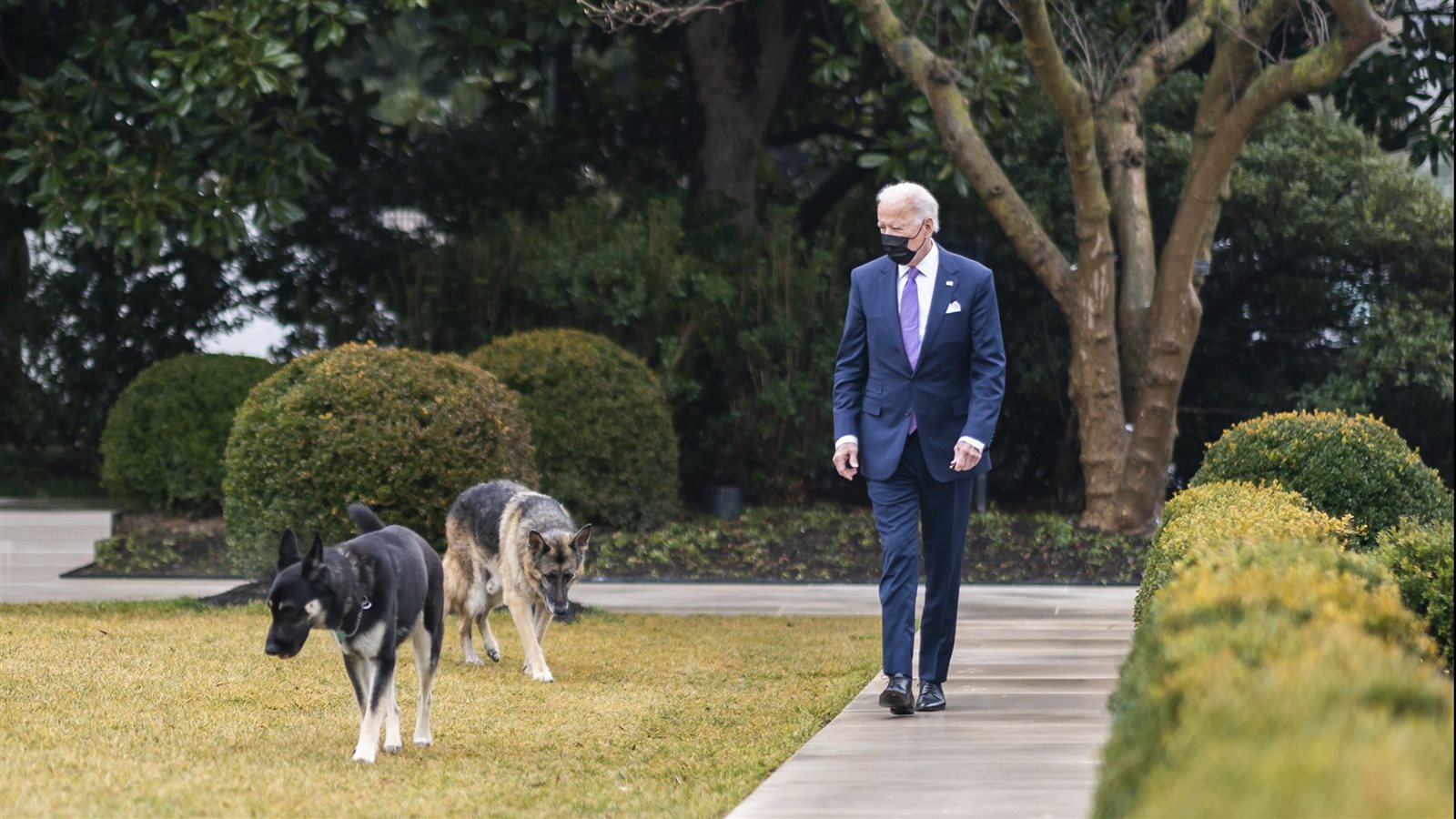 بايدن يعلن وفاة كلبه تشامب
