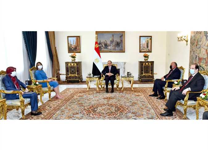 السيسي والمنقوش