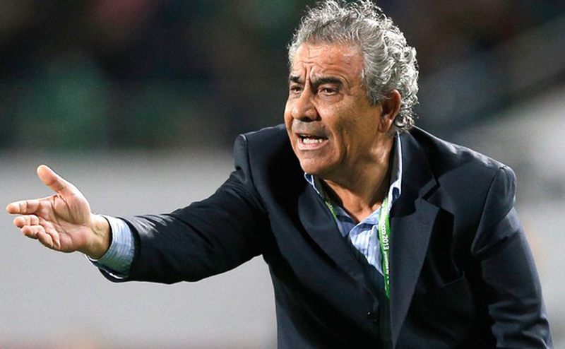 فوزي البنزرتي المدير الفني لفريق الوداد المغربي