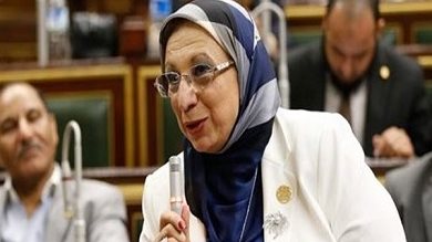 النائبة ايناس عبدالحليم عضو مجلس النواب
