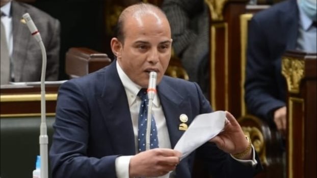 النائب عمرو القماطى