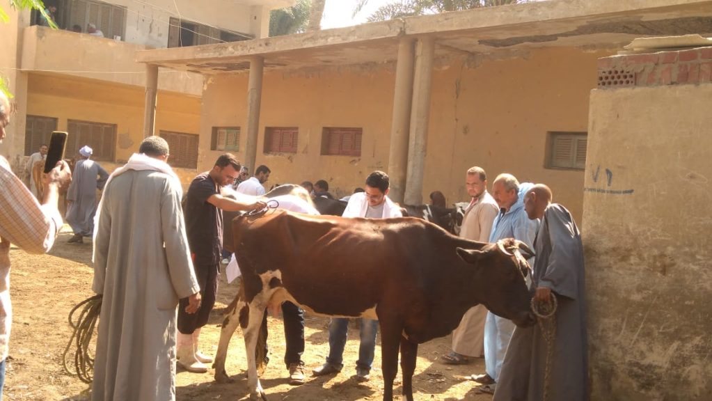 قافلة بيطرية ببني سويف