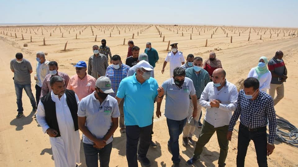 المحافظ يتفقد مزرعة النخيل المحافظ يتفقد مزرعة النخيل