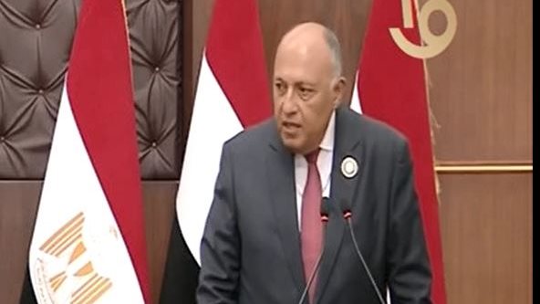 سامح شكري ، وزير الخارجية المصري