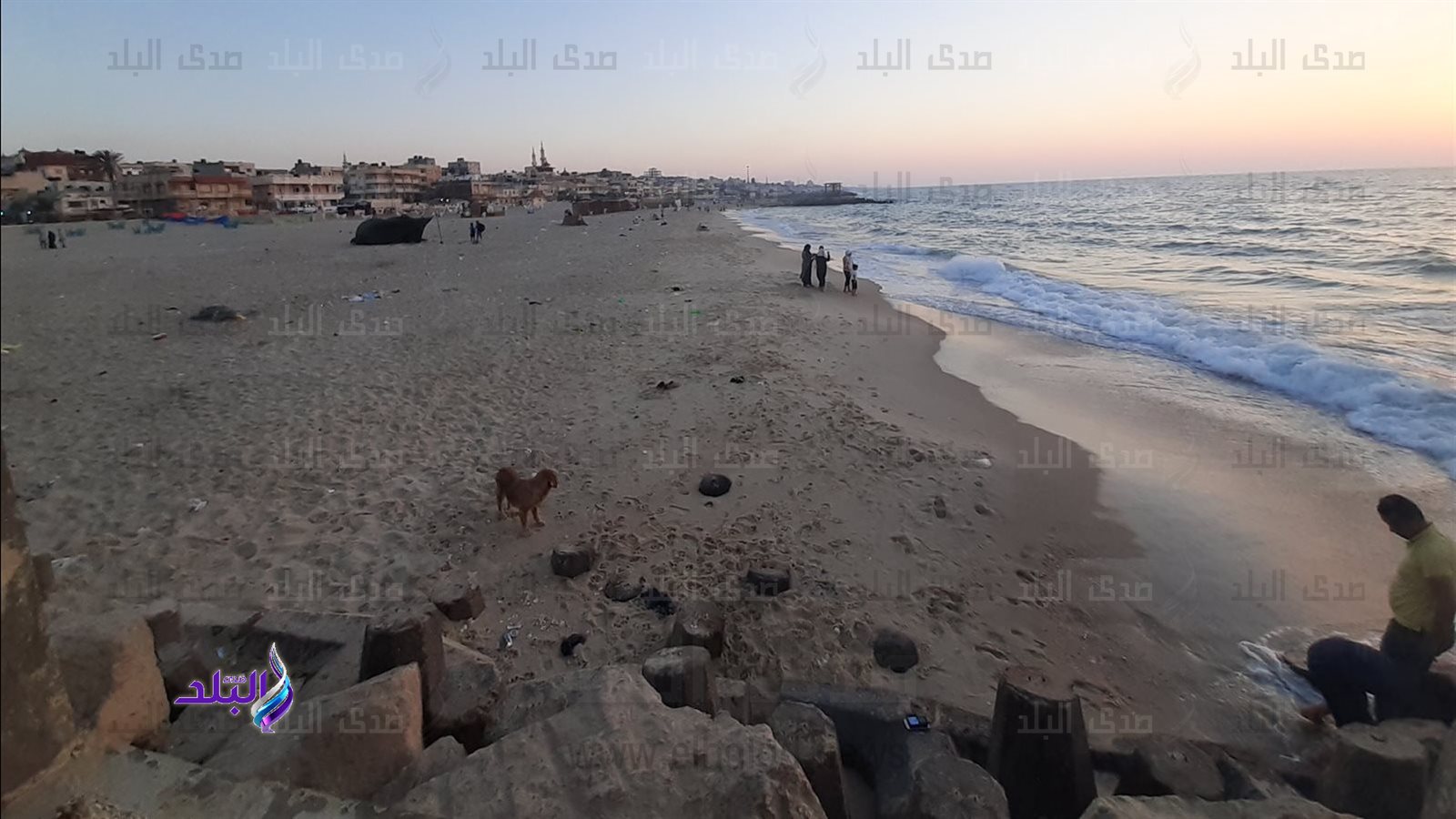 شواطئ العريش