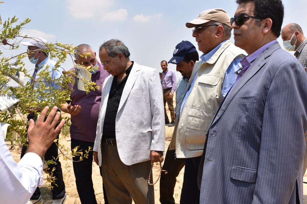 سير العمل بمحطتي مركز بحوث الصحراء
