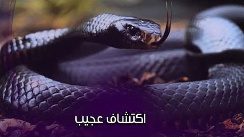 لسان الأفعى