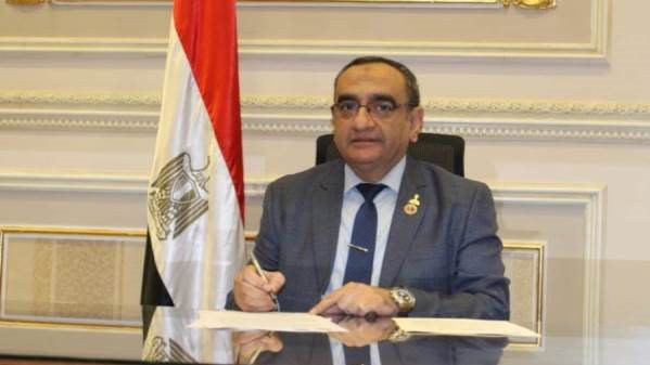 النائب حاتم حشمت نائب رئيس حزب حماة الوطن