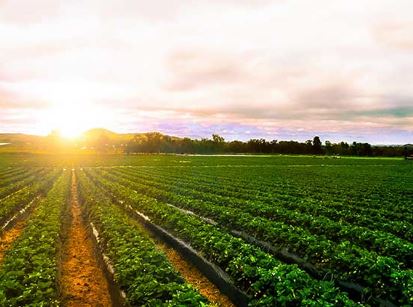 الدلتا الجديدة 