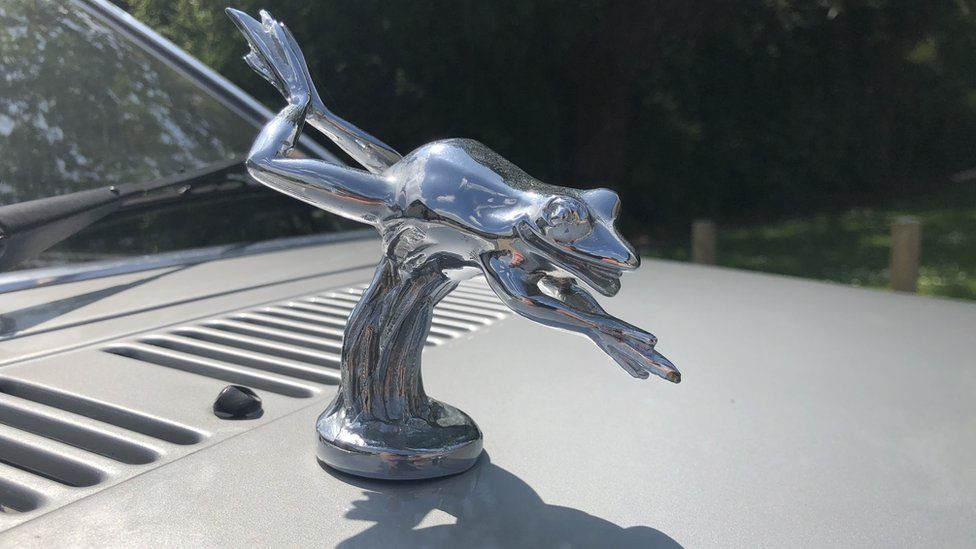 غطاء محرك السيارة بنسخة طبق الأصل من تميمة الضفدع