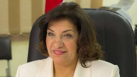 النائبة إيفلين متى ، عضو لجنة الصناعة بمجلس النواب  النائبة إيفلين متى ، عضو لجنة الصناعة بمجلس النواب