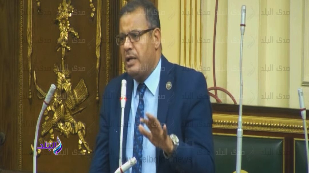 النائب محمد زكي