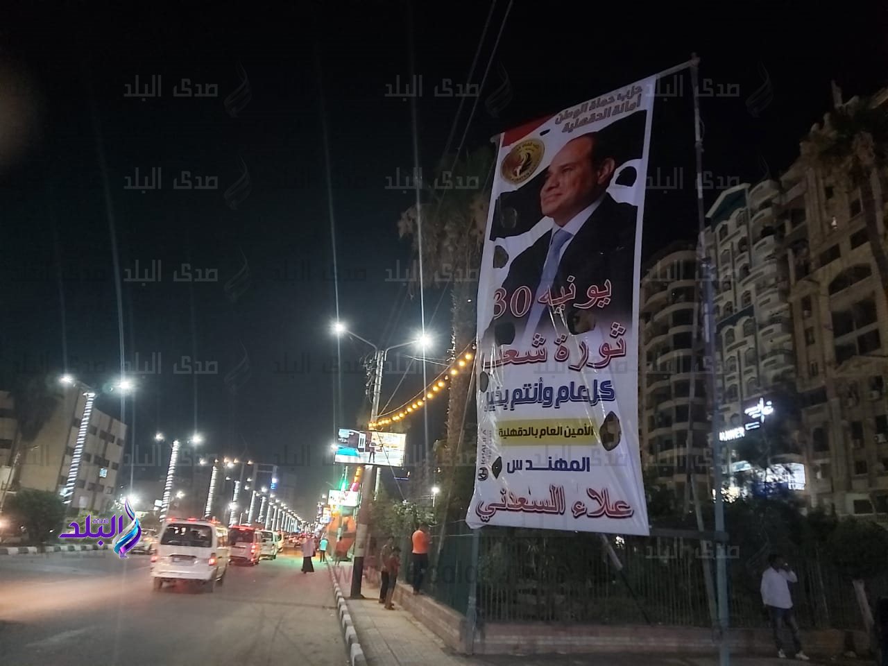 لافتات حزب حماة الوطن بالدقهلية للتهنئة بذكرى ثورة ٣٠ يونيو