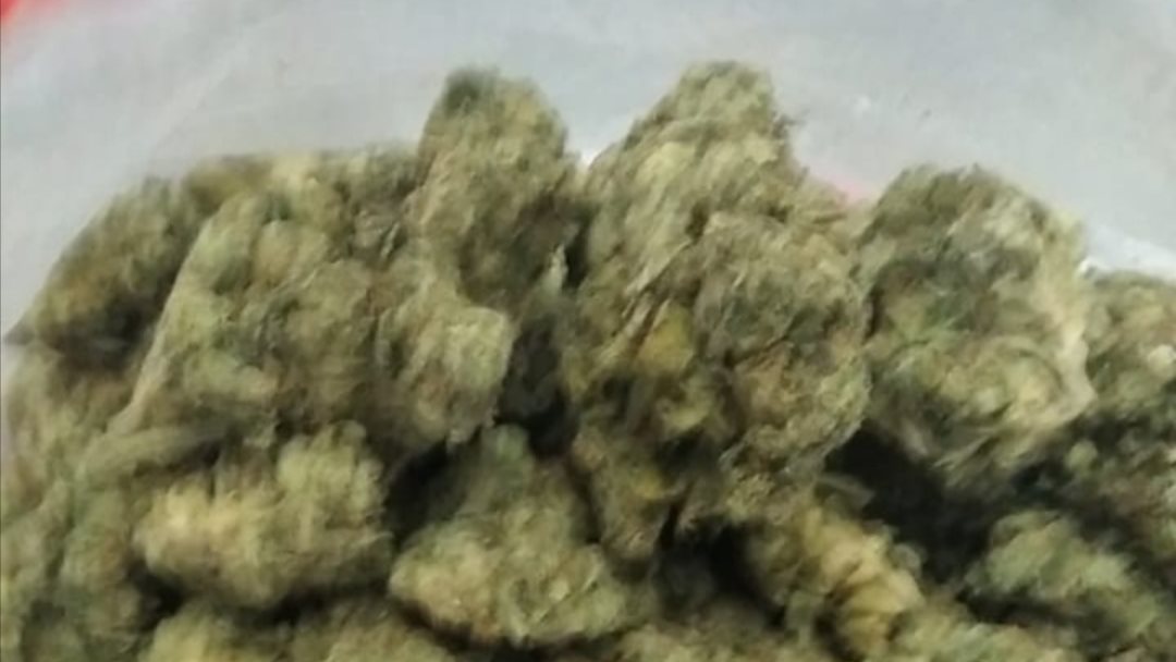 صورة من الضبطية 