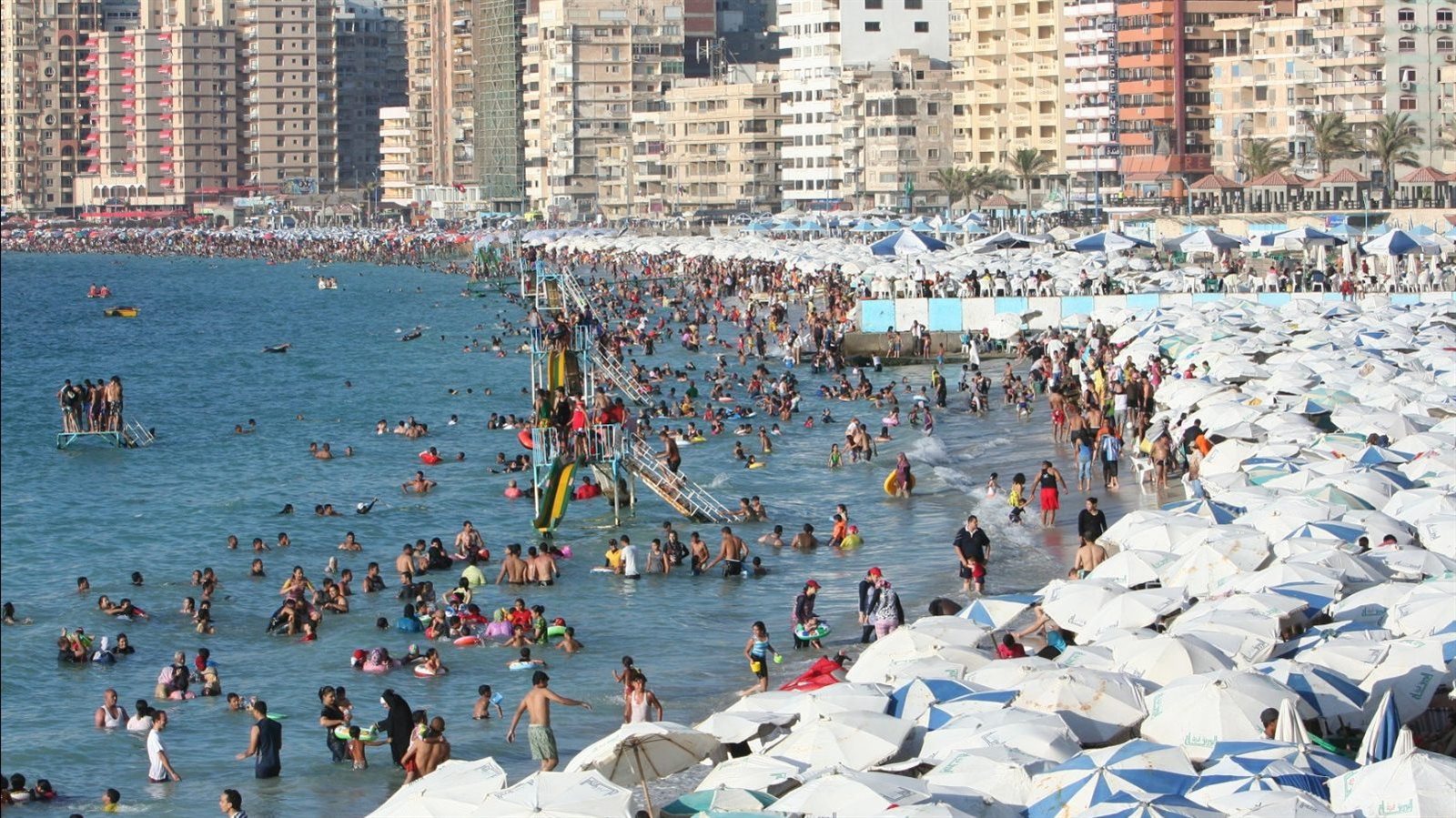 شواطئ الإسكندرية كاملة العدد