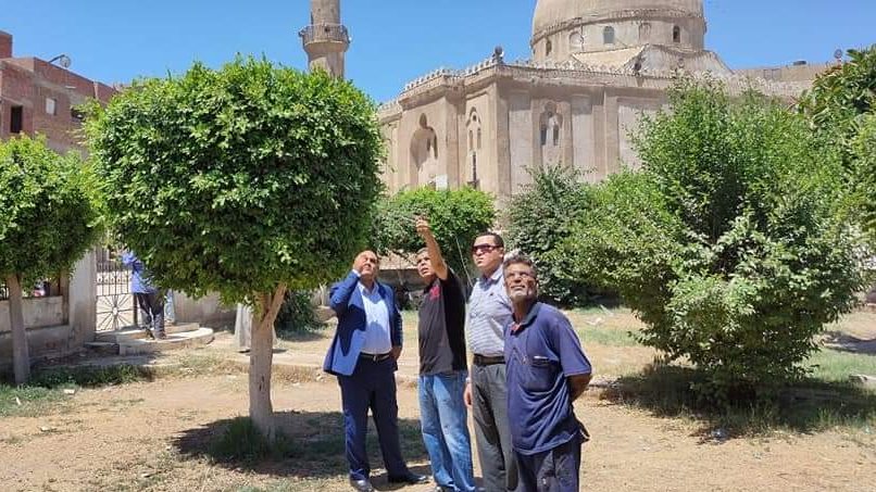 رئيس مدينة بيلا يتفقد تطوير الحدائق