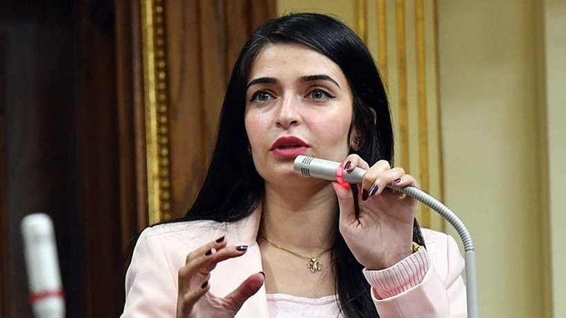 النائبة إيرين سعيد ،عضو لجنة الصحة بمجلس النواب