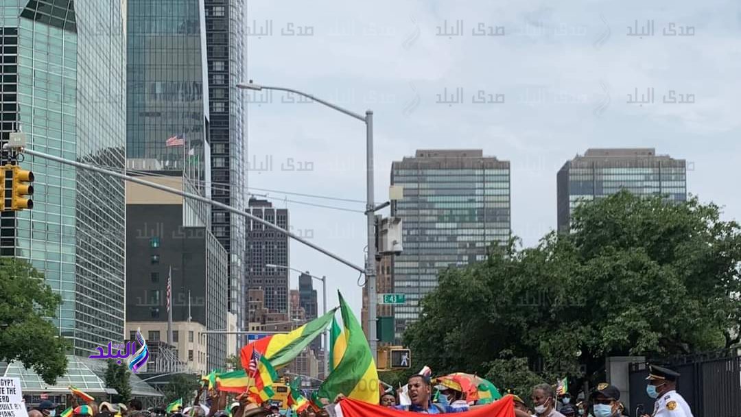 احمد شجيع في مواجهة الجالية الإثيوبية لدعم مصر 