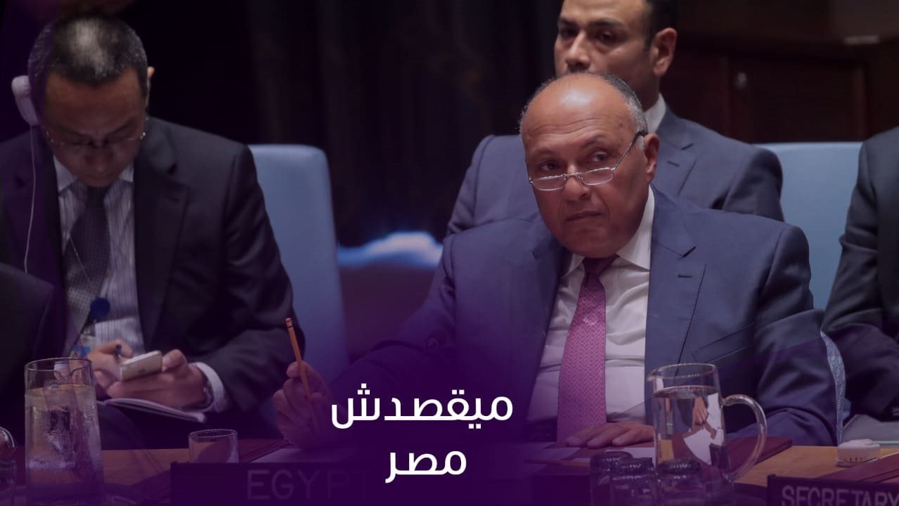 سامح شكري ، وزير الخارجية المصري