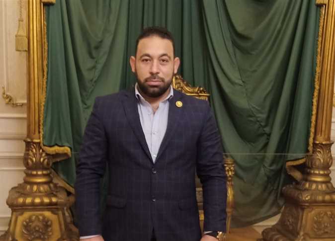 النائب محمد فايد