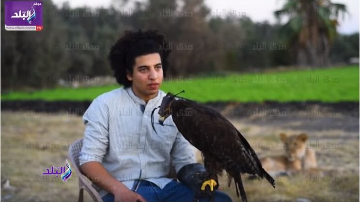 عمر خالد مربي حيوانات مفترسة عمر خالد مربي حيوانات مفترسة