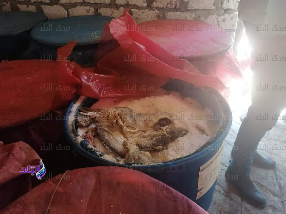 جانب من المضبوطات