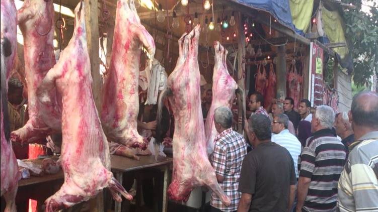 صورة تعبيرية 