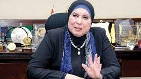 نيفين جامع، وزيرة التجارة والصناعة