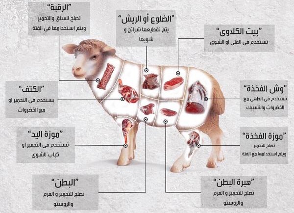 قطعيات الخروف