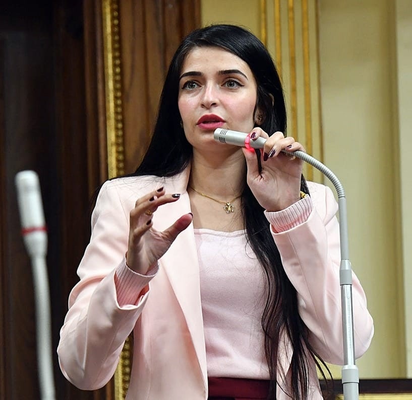 الدكتورة إيرين سعيد، عضو لجنة الصحة بمجلس النواب