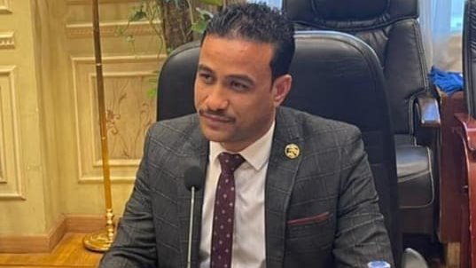النائب سيد الكرماوي عضو مجلس النواب