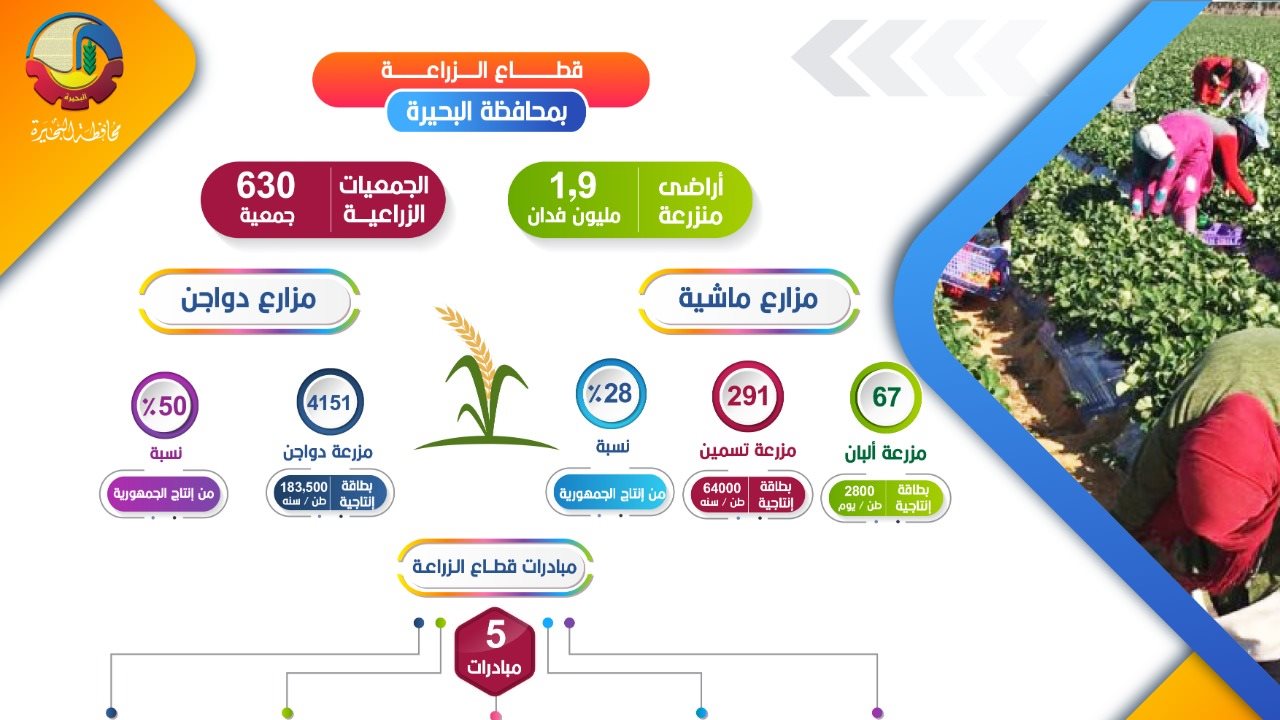 مشروعات قومية في البحيرة 