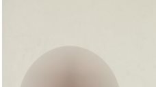 المتهمان 