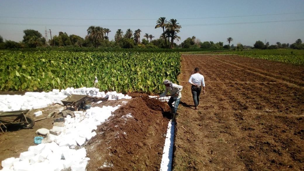 حملات رقابية مستمرة بالمنيا 