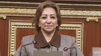 النائبة مها عبدالناصر عضو مجلس النواب 