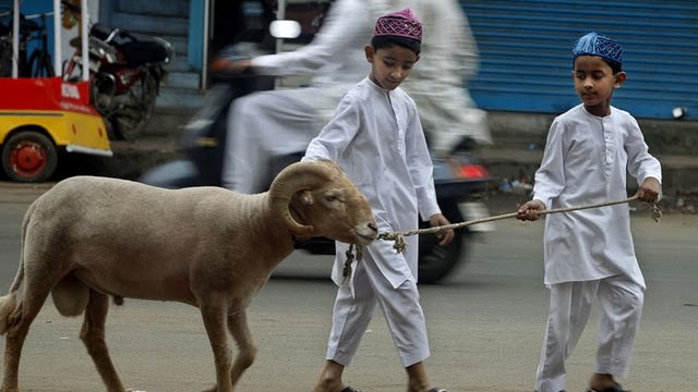 آخر وقت لذبح الاضحية 