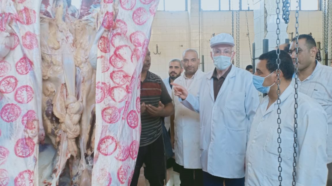 الطب البيطري بالغربية:ذبح 1484جمال ، ضأن قبل أجازة عيد الأ