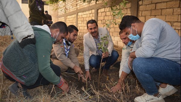 مبادرة ازرع شجرة باحياء مدينة العريش مبادرة ازرع شجرة باحياء مدينة العريش