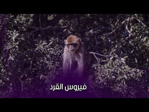 فيروس القرد