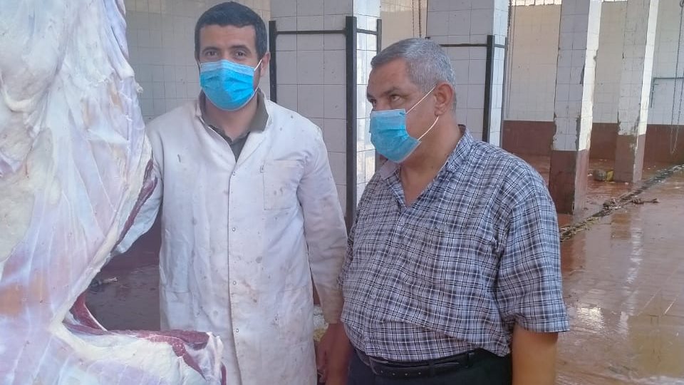 ضبط 133 كيلو لحوم مذبوحة خارج المجازر ومطروحة للبيع بالغربية