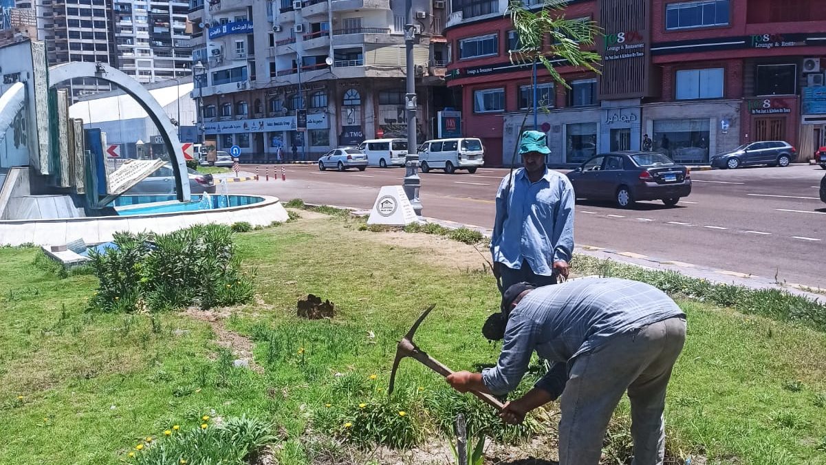 رفع كفاءة الحدائق والمسطحات الخضراء في الإسكندرية