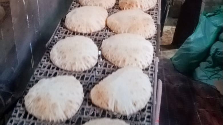 حملات تمونية بالدقهلية