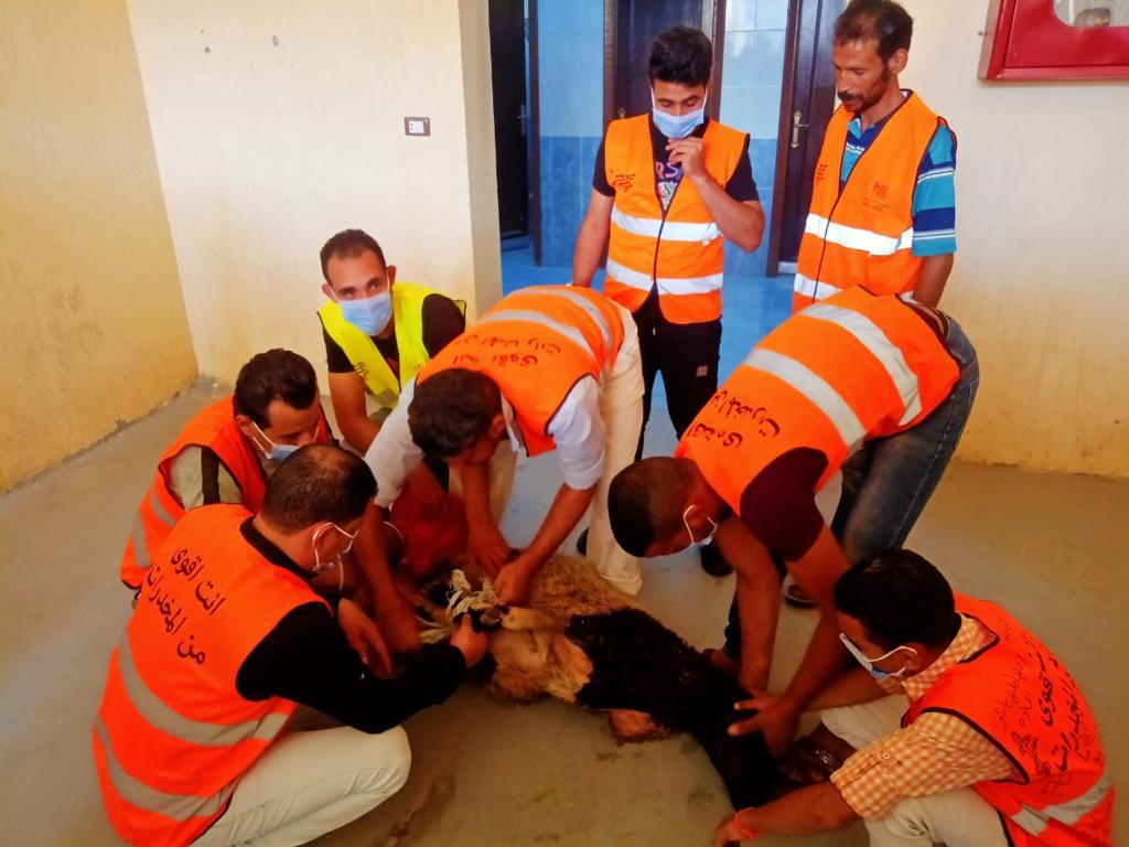 المتعافين من الإدمان يحتفلون بعيد الأضحى 