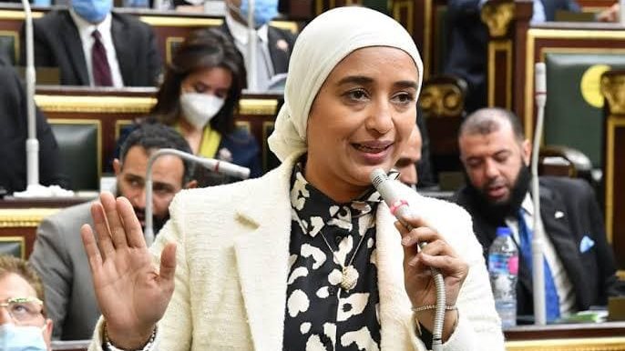 النائبة اميرة ابو شقة