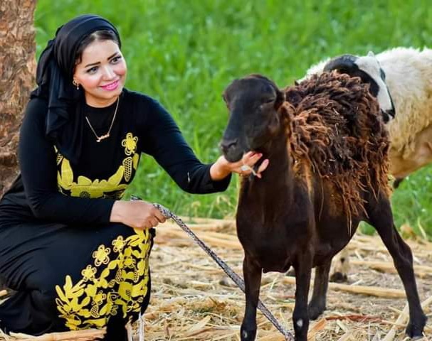 سمر عبدالهادي
