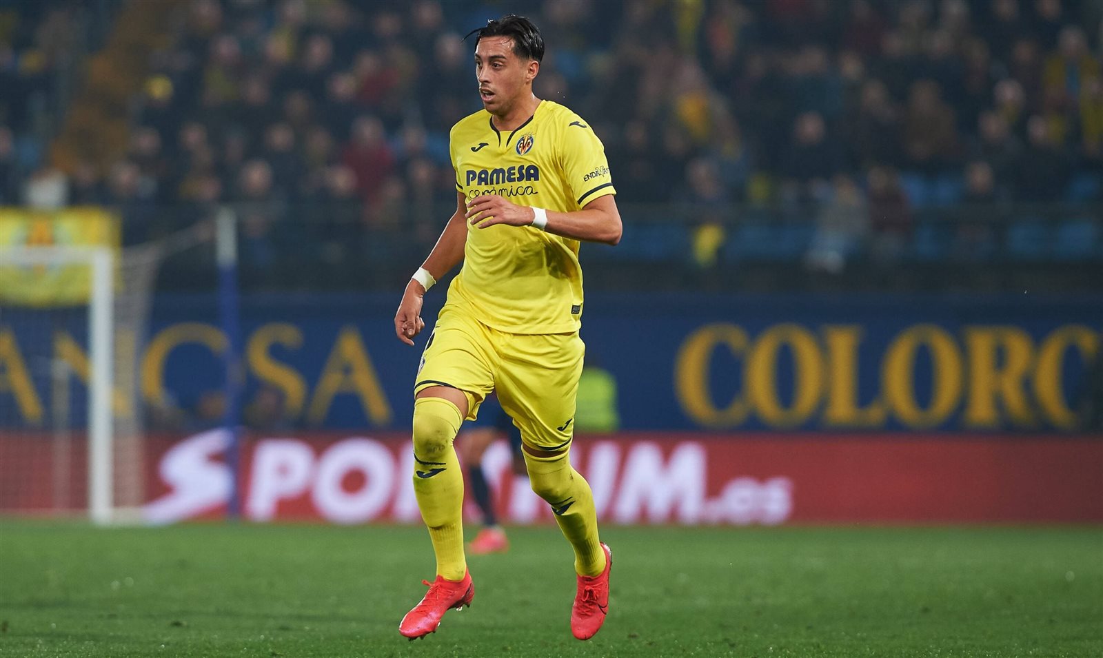 فونيس موري فونيس موري