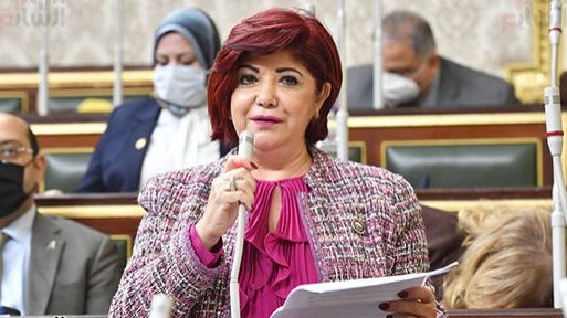النائبة نورا على