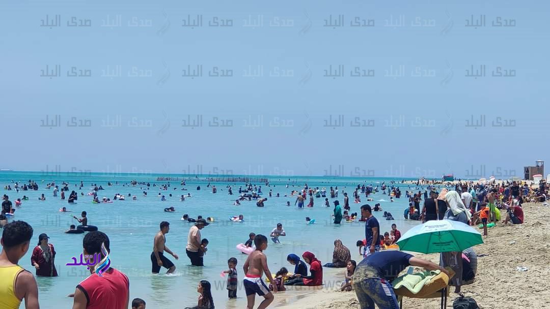 الشواطئ برأس سدر 